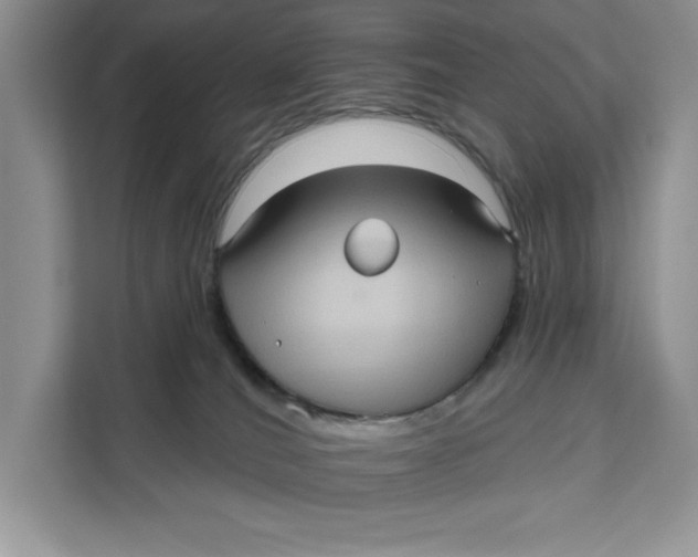 X0000111620036200908071359