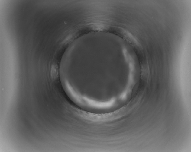 X0000111620043200908071359