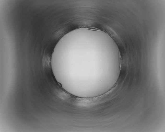 X0000111620045200908071359