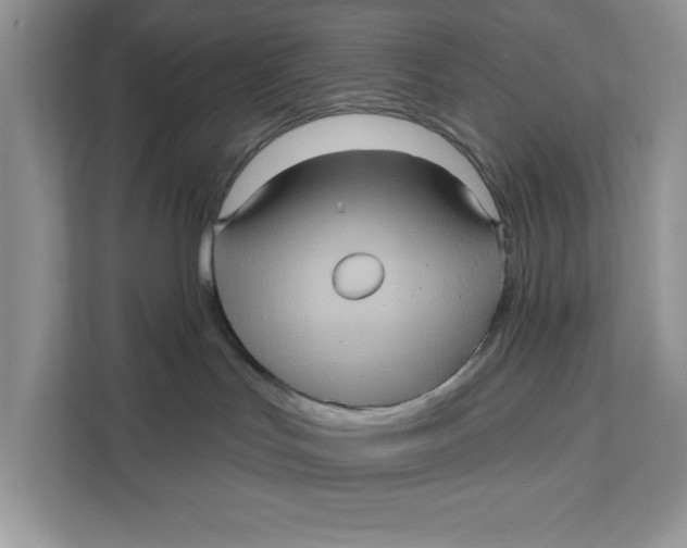 X0000111620047200908071359