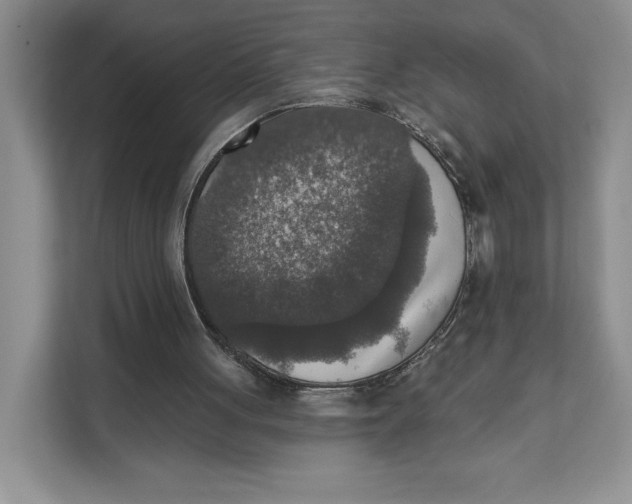 X0000111620051200908071359