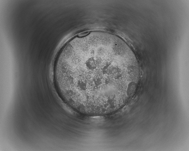 X0000111620053200908071359