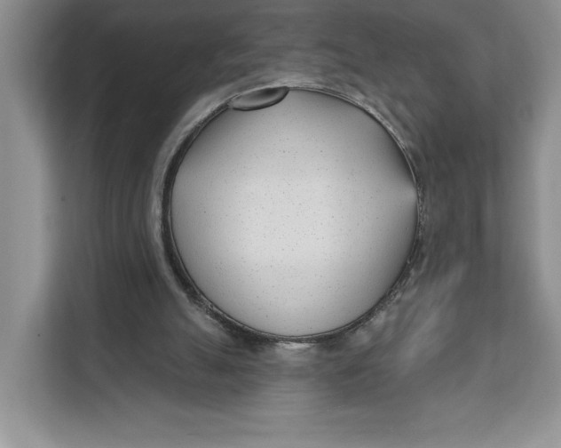 X0000111620055200908071359