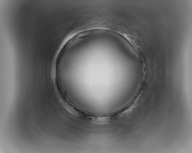 X0000111620056200908071359