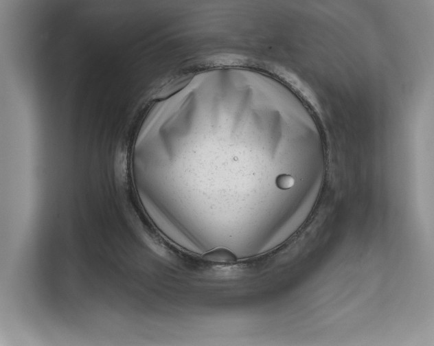 X0000111620057200908071359