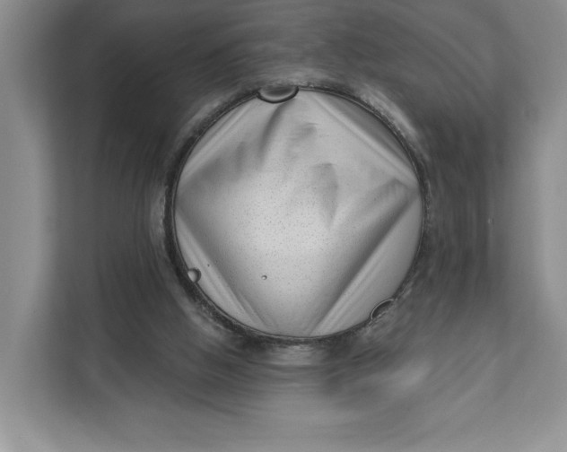 X0000111620058200908071359