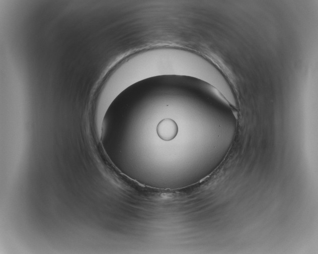 X0000111620060200908071359