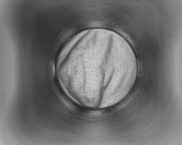 X0000111620061200908071359