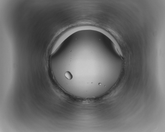 X0000111620064200908071359