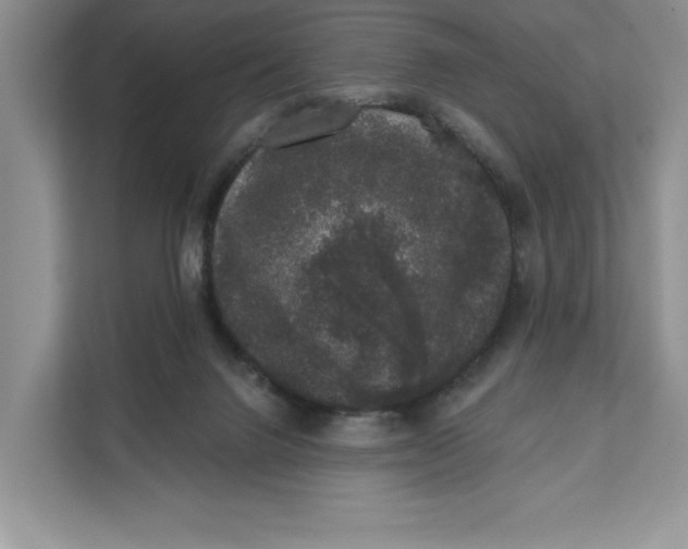 X0000111620072200908071359