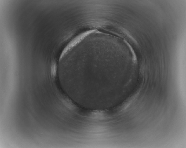 X0000111620076200908071359