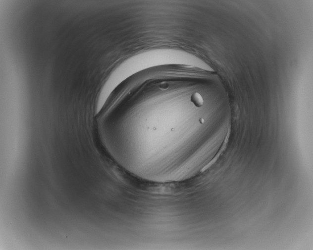 X0000111620080200908071359