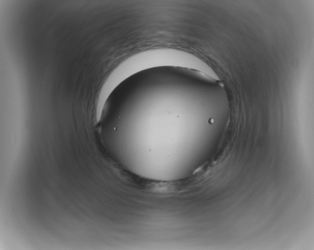 X0000111620088200908071359