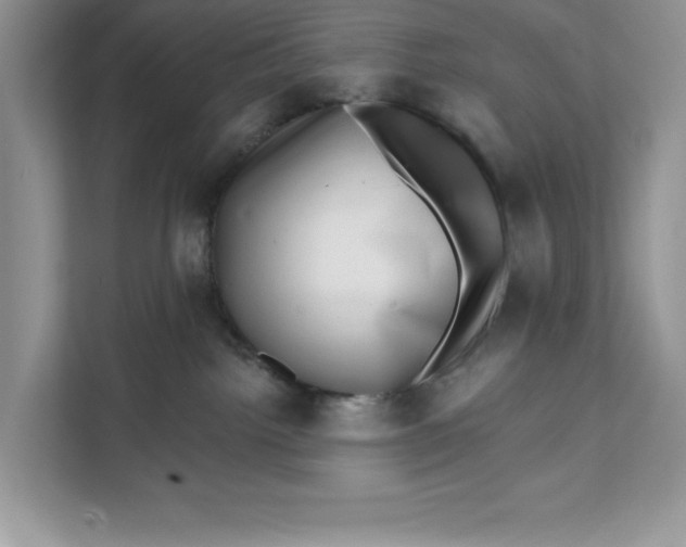 X0000111620092200908071359