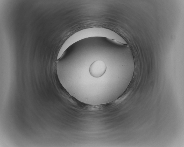 X0000111620096200908071359