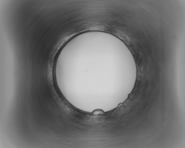 X0000111620098200908071359