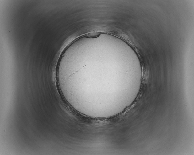 X0000111620099200908071359