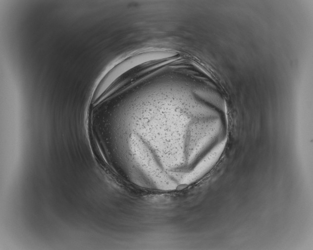 X0000111620100200908071359