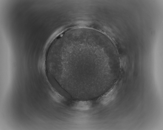 X0000111620101200908071359