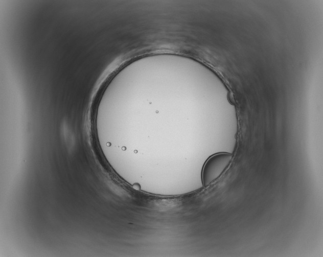 X0000111620102200908071359