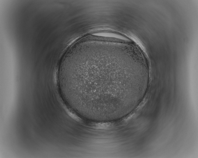 X0000111620105200908071359