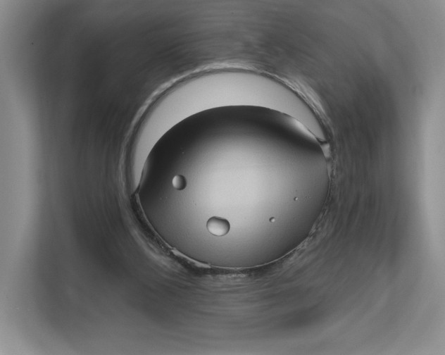 X0000111620108200908071358