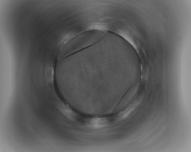 X0000111620109200908071358