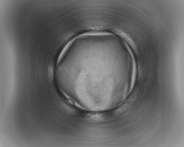 X0000111620113200908071358