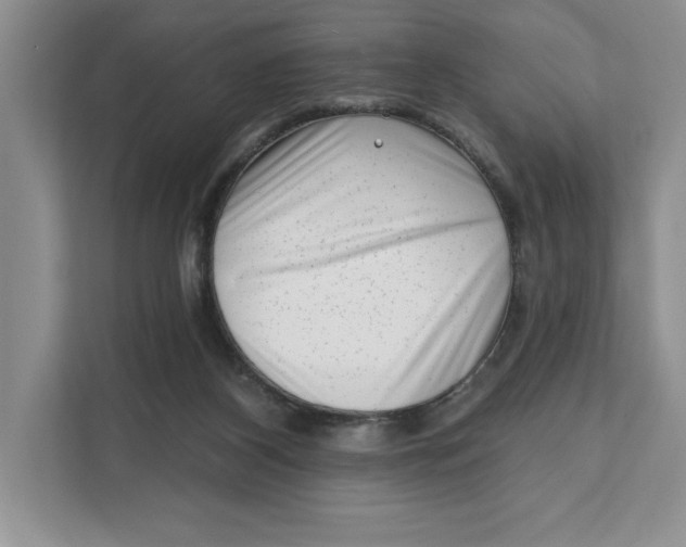 X0000111620116200908071358