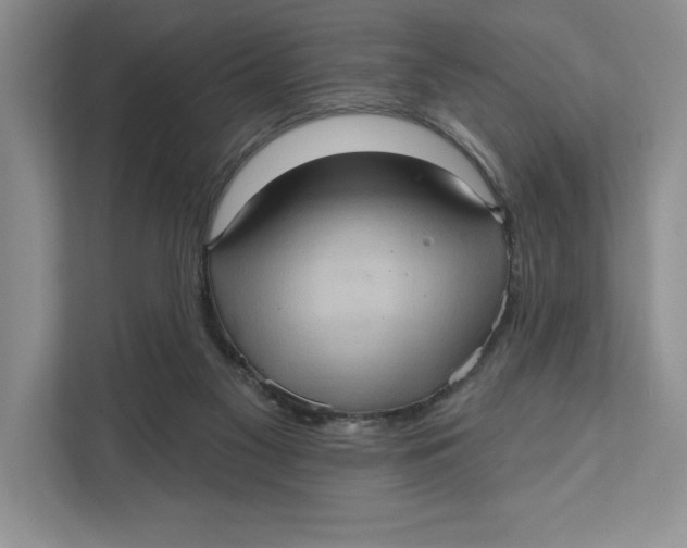 X0000111620117200908071358