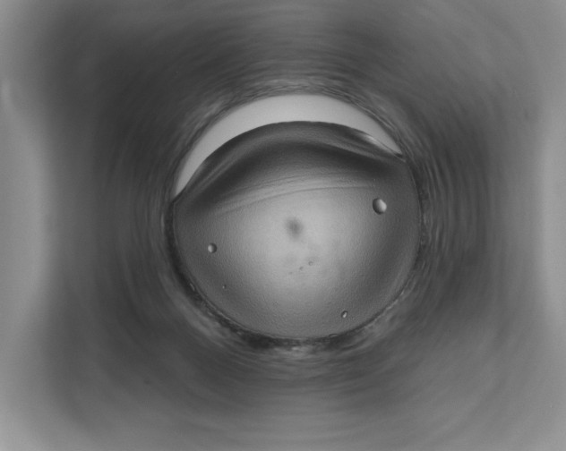 X0000111620120200908071358