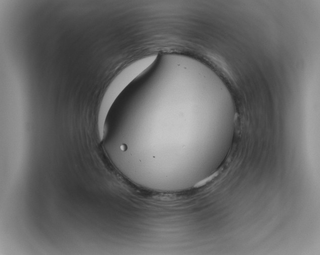 X0000111620121200908071358