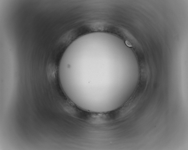 X0000111620125200908071358