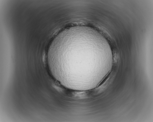 X0000111620132200908071358