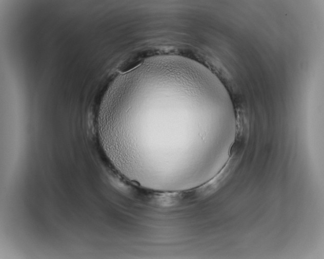 X0000111620136200908071358