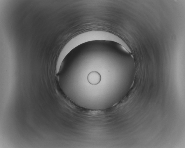 X0000111620137200908071358