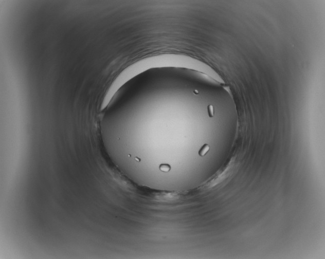 X0000111620140200908071358