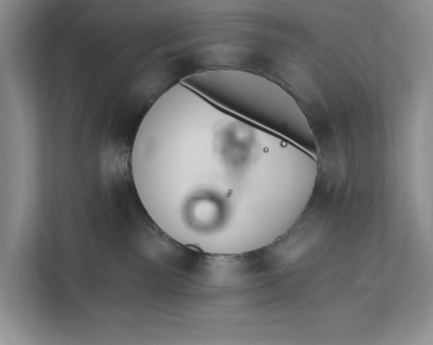 X0000111620141200908071358