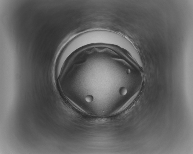 X0000111620152200908071357