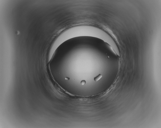 X0000111620154200908071357