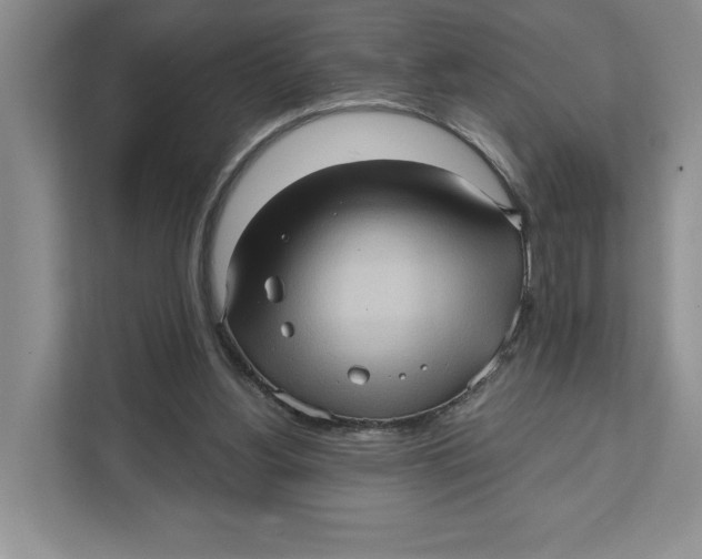 X0000111620156200908071358