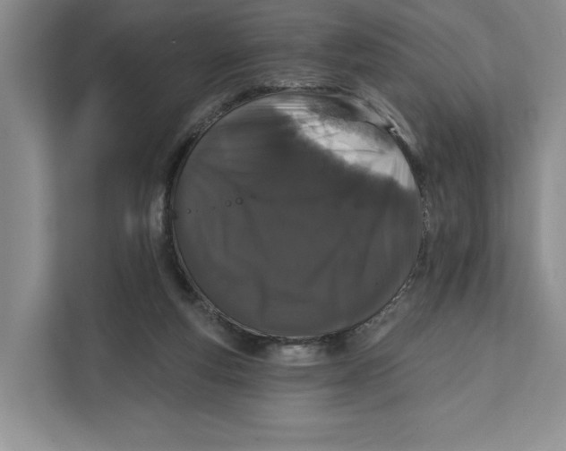 X0000111620163200908071358