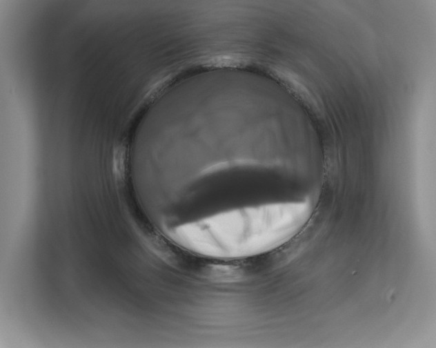 X0000111620167200908071358