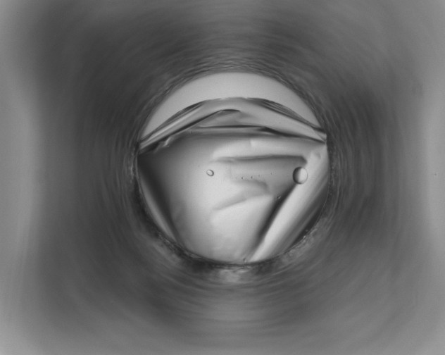 X0000111620172200908071358