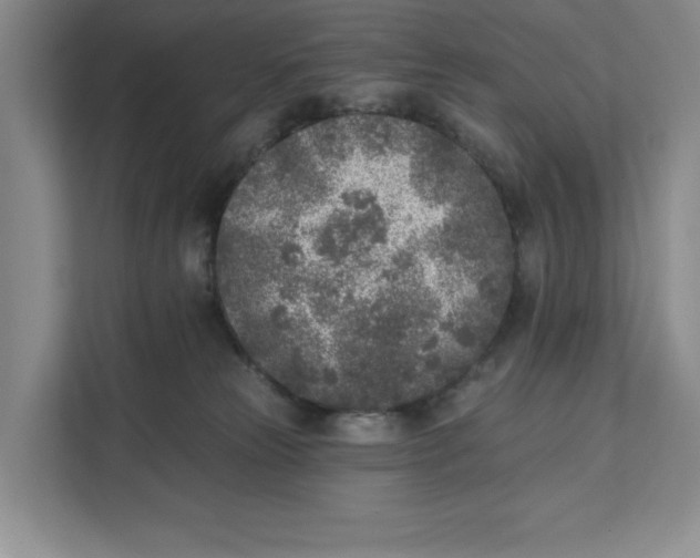 X0000111620181200908071358