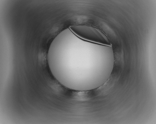 X0000111620184200908071358