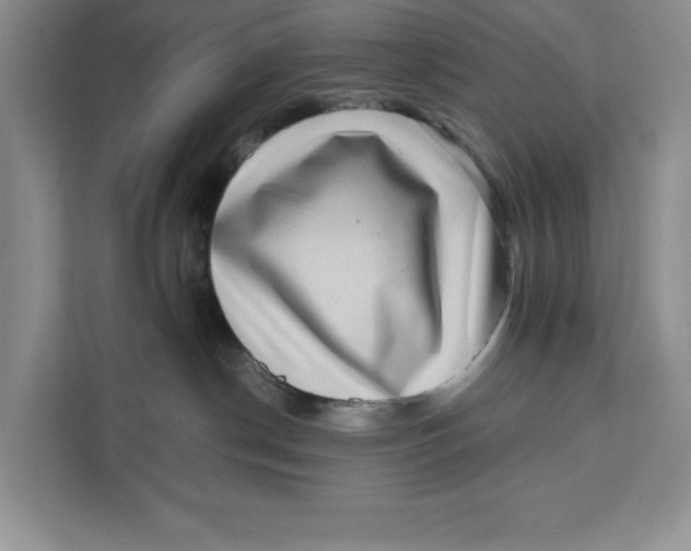 X0000111620190200908071358