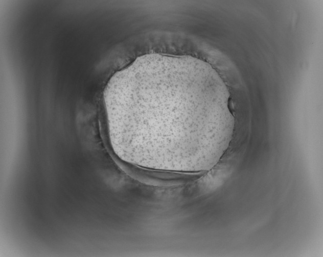 X0000111620192200908071358