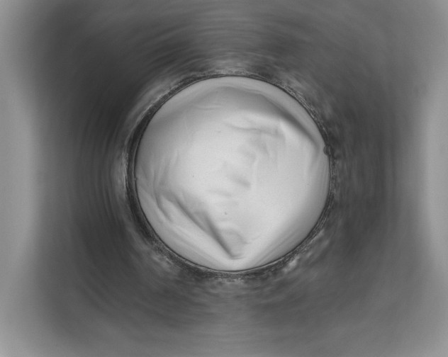 X0000111620194200908071357