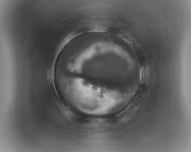 X0000111620195200908071357